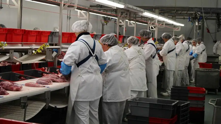 Trabalhadores da Carnes Nobre iniciaram semana de greves Trabalhadores da Carnes Nobre iniciaram semana de greves