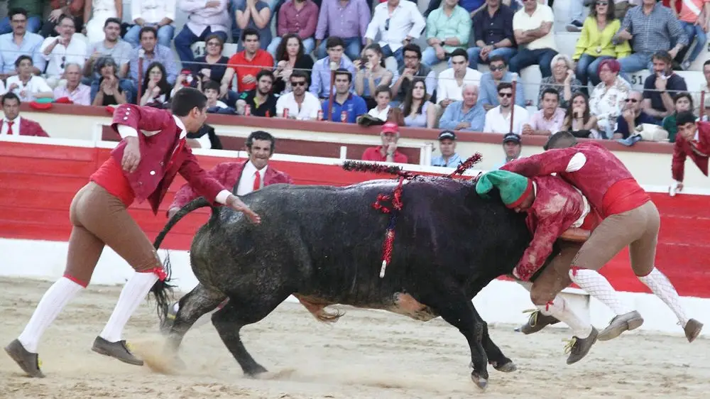 Tarde dura para os forcados em corrida no Montijo