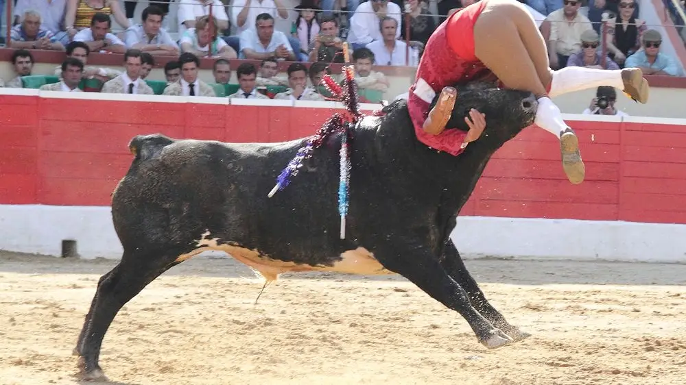 Tarde dura para os forcados em corrida no Montijo