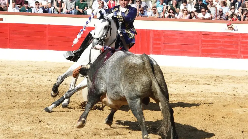 Tarde dura para os forcados em corrida no Montijo
