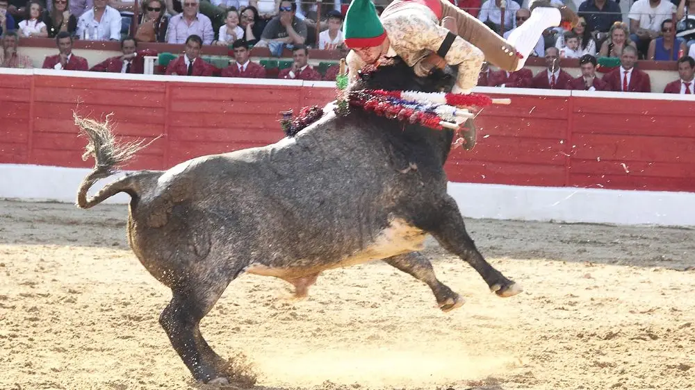 Tarde dura para os forcados em corrida no Montijo