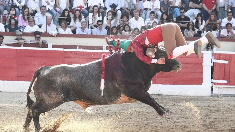 Tarde dura para os forcados em corrida no Montijo