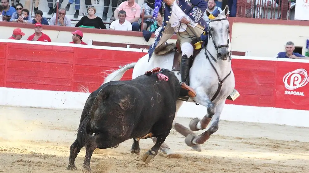 Tarde dura para os forcados em corrida no Montijo