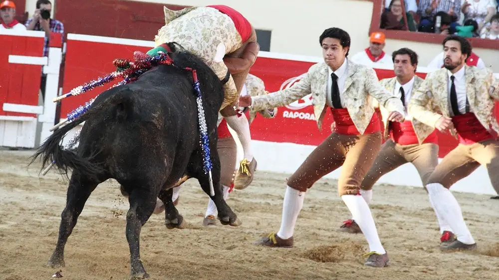 Tarde dura para os forcados em corrida no Montijo