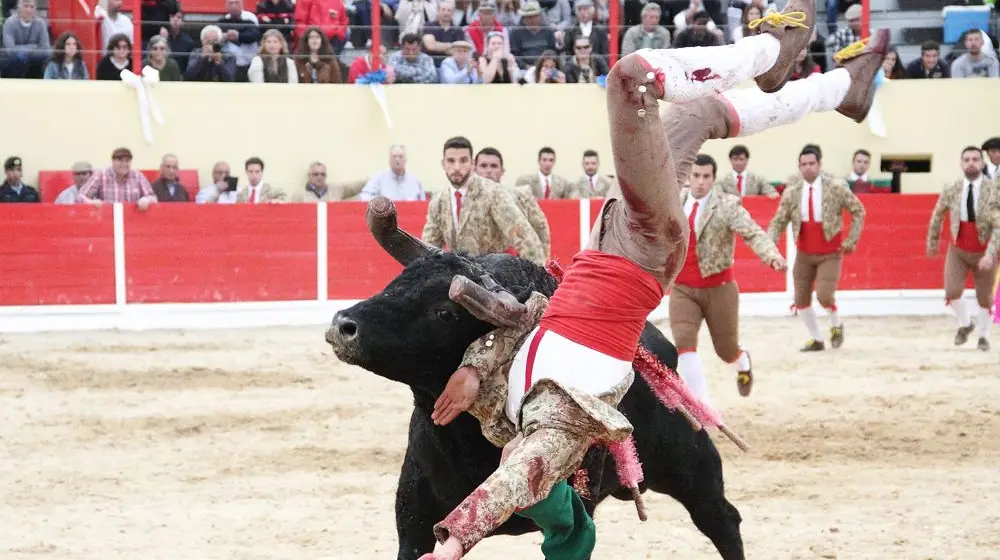 Corrida da Feira de Maio em Azambuja