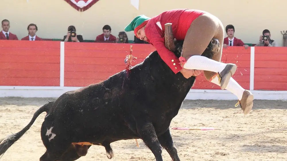 Corrida da Feira de Maio em Azambuja