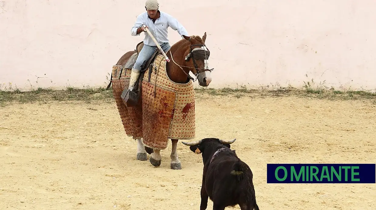 Herdade da Galeana: no Reino do Toiro