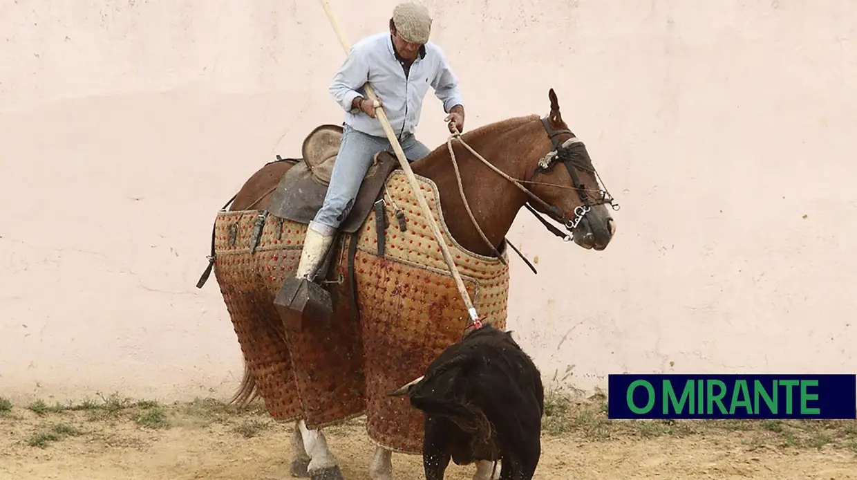 Herdade da Galeana: no Reino do Toiro