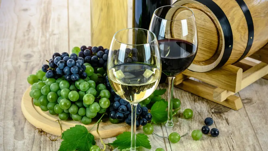 Vinhos de solos calcários da Estremadura no ‘Sunset Science’ Vinhos de solos calcários da Estremadura no ‘Sunset Science’