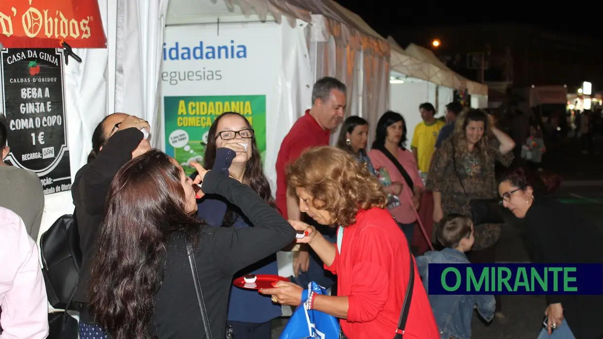 Festas da Cidade e de S. Pedro