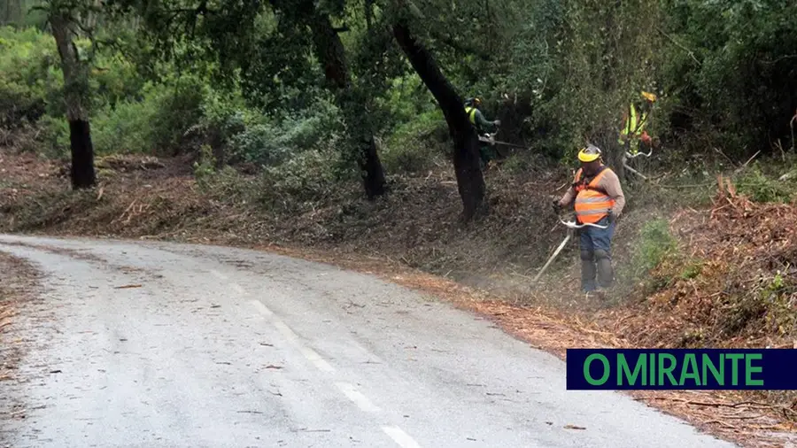 Câmara de Rio Maior alarga limpeza das bermas Câmara de Rio Maior alarga limpeza das bermas
