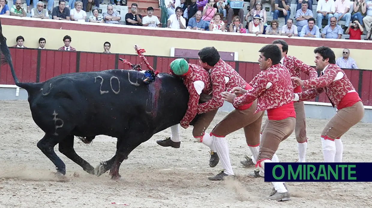 Francisco Palha e Nuno Casquinha triunfaram em Vila Franca de Xira