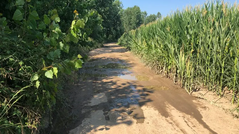 Caminhos e vias municipais da Golegã