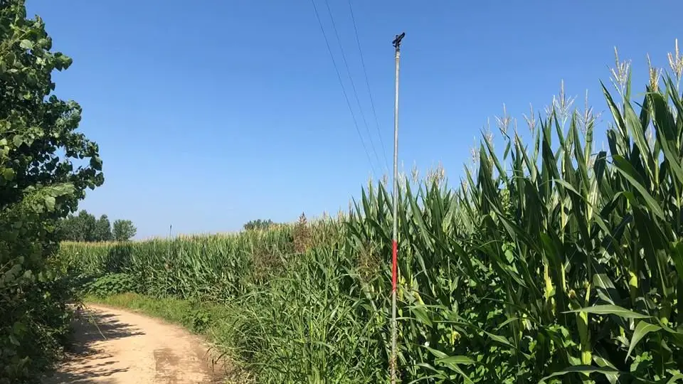 Caminhos e vias municipais da Golegã
