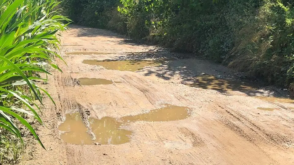 Caminhos e vias municipais da Golegã