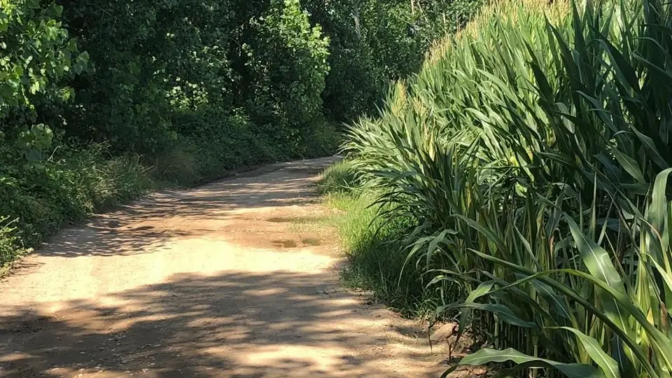 Caminhos e vias municipais da Golegã