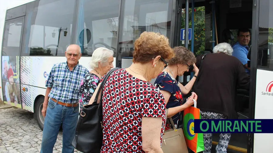 Carreira urbana gratuita para maiores de 60 anos vai começar a circular Carreira urbana gratuita para maiores de 60 anos vai começar a circular