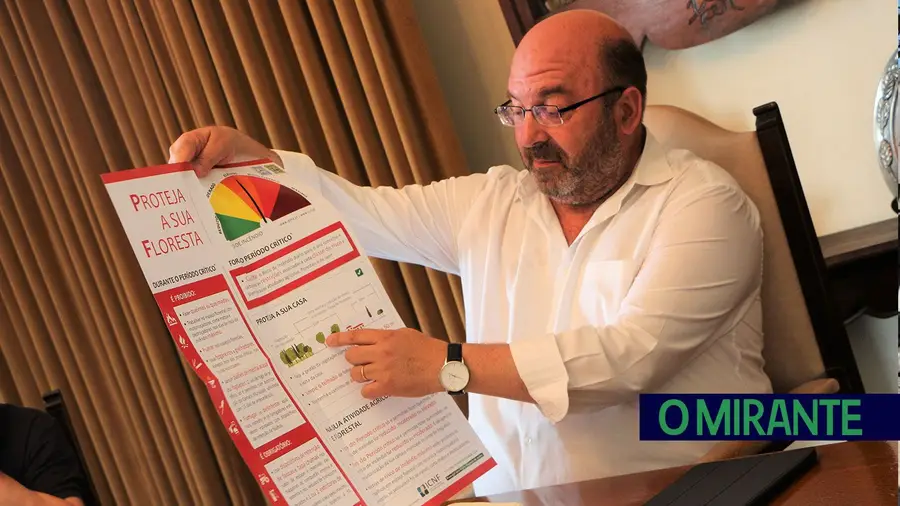 Autarca do Sardoal critica exageros da lei de limpeza da floresta Autarca do Sardoal critica exageros da lei de limpeza da floresta