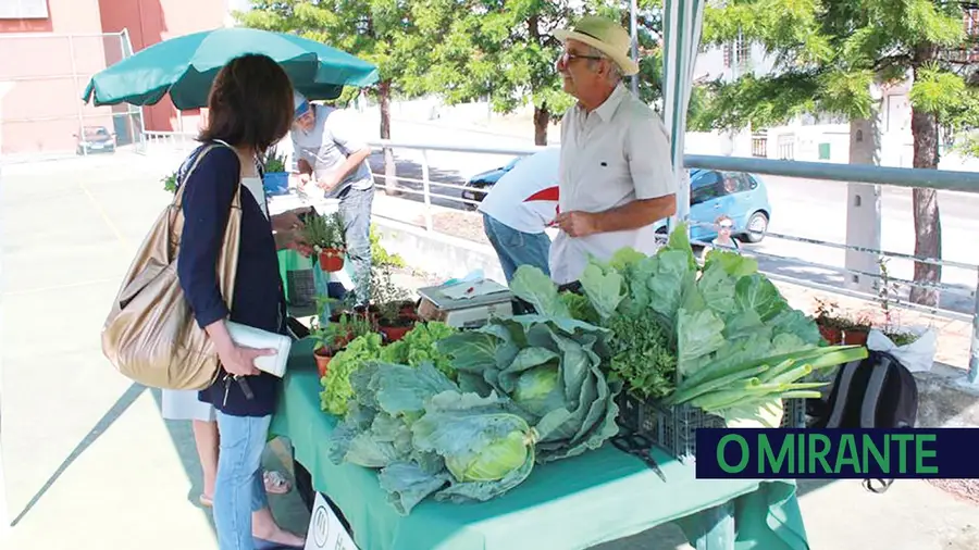 TAGUS com 360 mil euros para apoiar a agricultura local TAGUS com 360 mil euros para apoiar a agricultura local