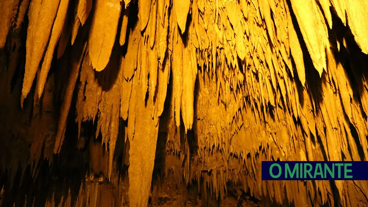 Algar do Pena recebe cientistas de todo o mundo