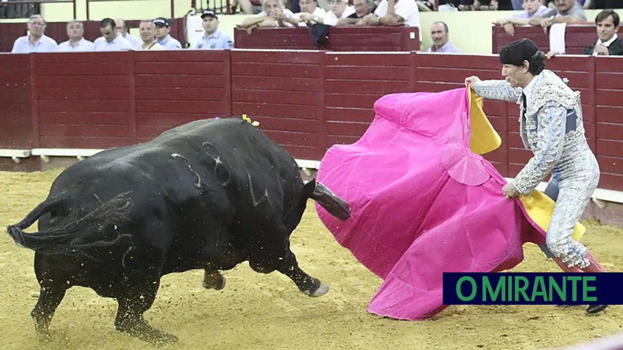 Toiros de Murteira Grave na corrida da TVI no Campo Pequeno