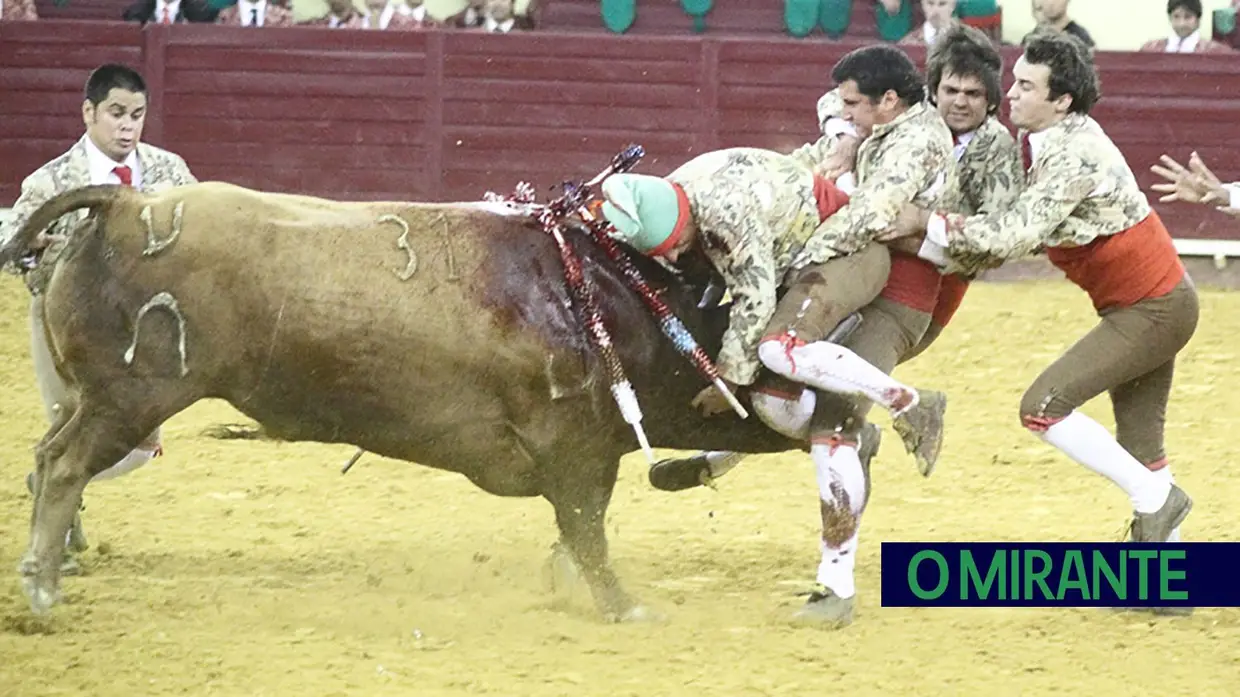 Toiros de Murteira Grave na corrida da TVI no Campo Pequeno