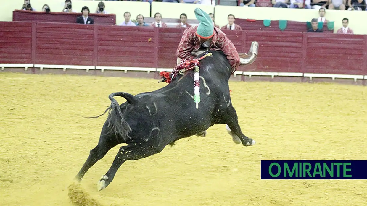 Toiros de Murteira Grave na corrida da TVI no Campo Pequeno