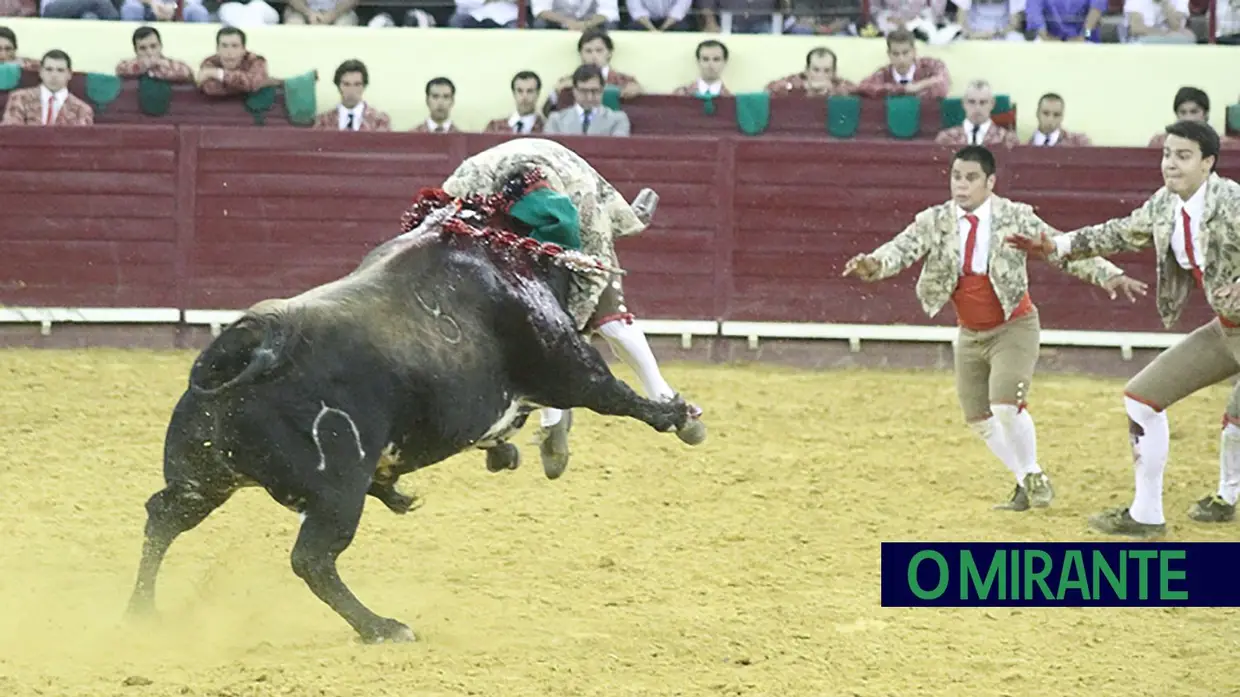 Toiros de Murteira Grave na corrida da TVI no Campo Pequeno