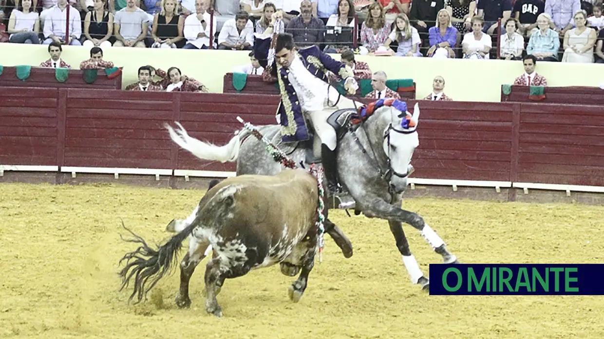 Toiros de Murteira Grave na corrida da TVI no Campo Pequeno