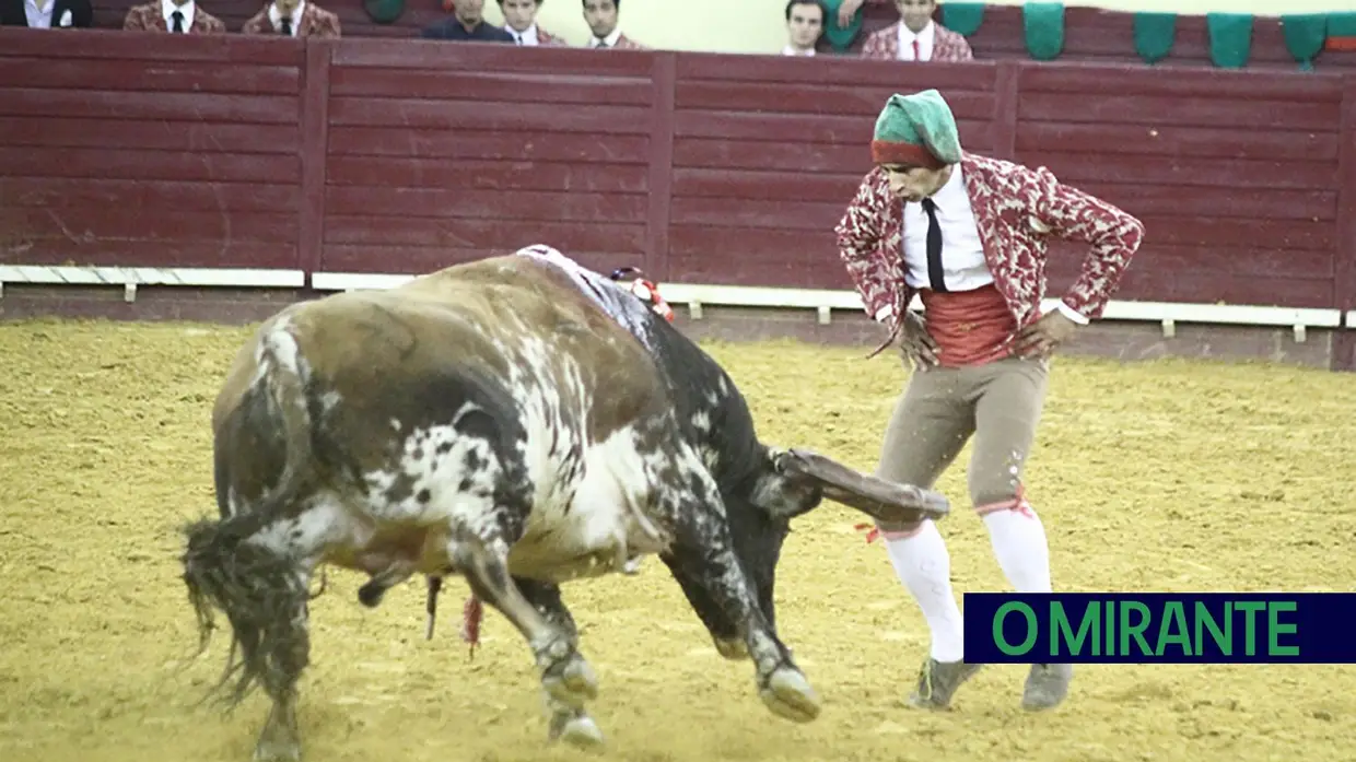 Toiros de Murteira Grave na corrida da TVI no Campo Pequeno