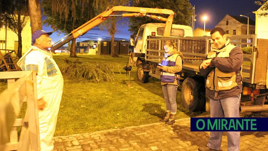 Ninho de vespa asiática destruído em Abrantes Ninho de vespa asiática destruído em Abrantes