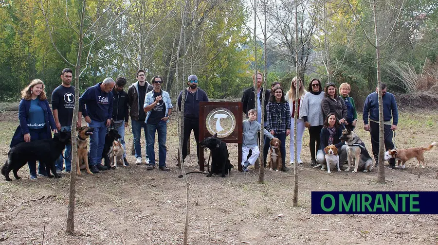 Cãofraria já tem espaço em Torres Novas Cãofraria já tem espaço em Torres Novas