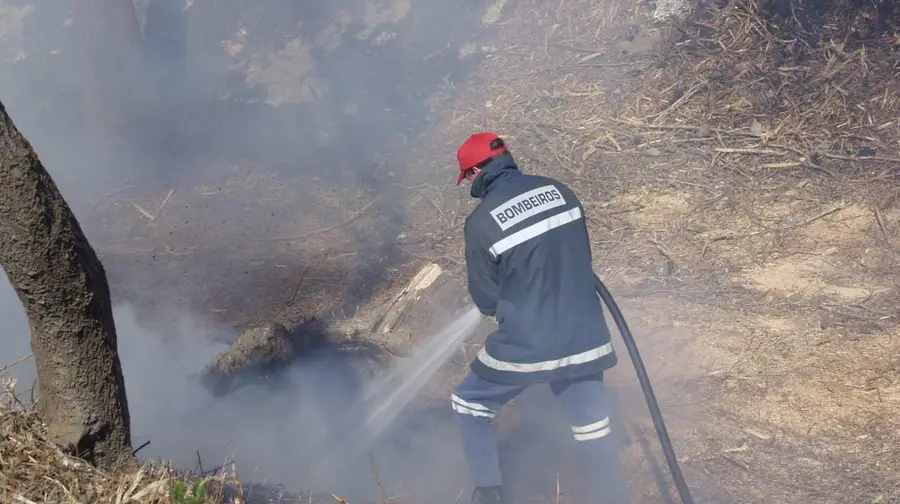 Morre em queimada descontrolada no Sardoal Morre em queimada descontrolada no Sardoal