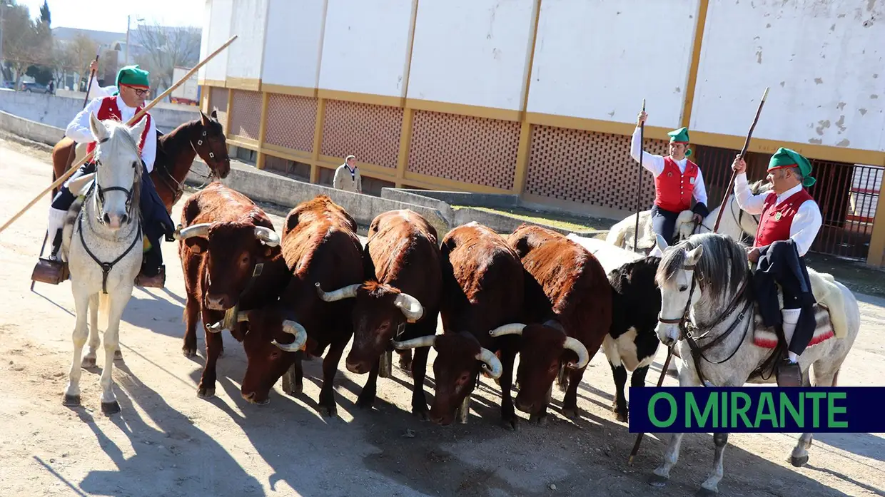 Praça de touros de Santarém vai ter nova dinâmica em 2019