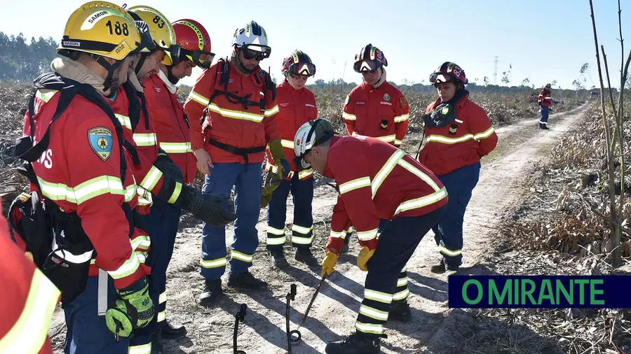 Fogo controlado em Benavente em Fevereiro Fogo controlado em Benavente em Fevereiro