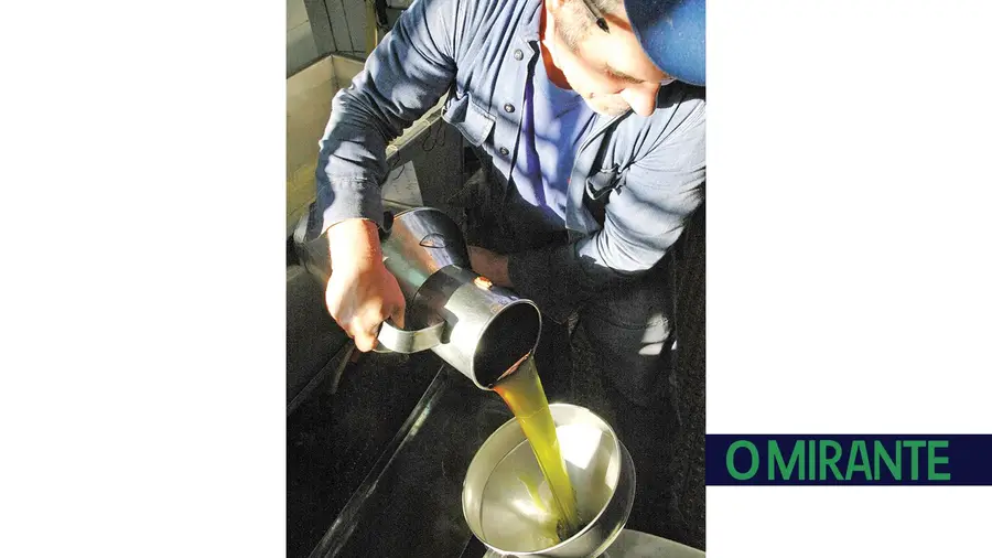 Novos concursos abertos para apoiar agricultores do Ribatejo Interior Novos concursos abertos para apoiar agricultores do Ribatejo Interior