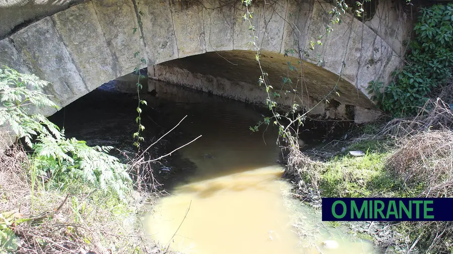 GNR investiga origem de descarga na ribeira da Boa Água GNR investiga origem de descarga na ribeira da Boa Água