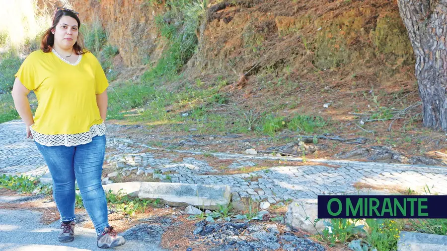 Árvores causam danos na via pública e prejuízos aos moradores Árvores causam danos na via pública e prejuízos aos moradores
