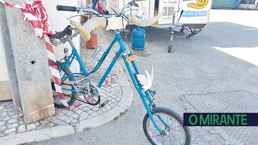 Quem não tem cão... Quem não tem cão...