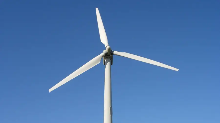 Procuradoria rejeita proposta de acordo da Câmara de Rio Maior sobre baldios Procuradoria rejeita proposta de acordo da Câmara de Rio Maior sobre baldios