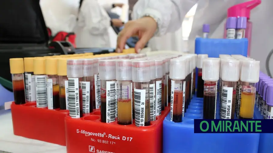 “Sangue seguro para todos” é mote para Dia Mundial do Dador de Sangue “Sangue seguro para todos” é mote para Dia Mundial do Dador de Sangue