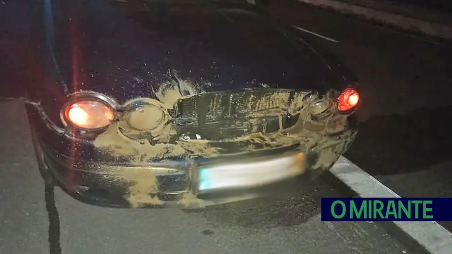 Veículo danificado após colidir com javali na A13 Veículo danificado após colidir com javali na A13