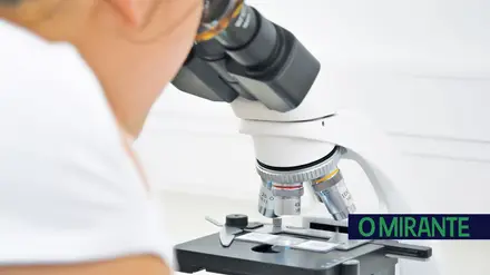 Ensino secundário – uma resposta desejada um novo desafio para a Fundação CEBI Ensino secundário – uma resposta desejada um novo desafio para a Fundação CEBI