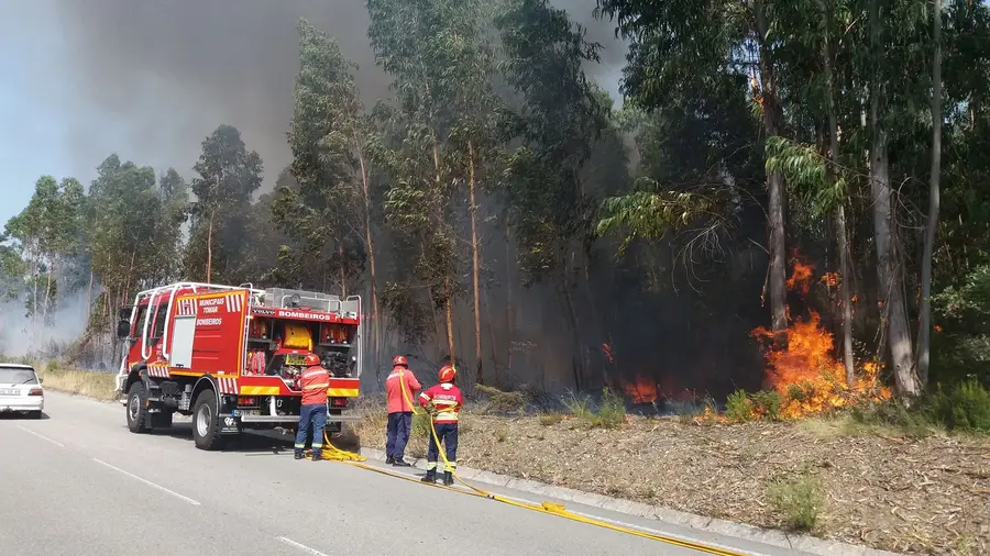 Incêndio junto à EM 531 em Tomar dominado Incêndio junto à EM 531 em Tomar dominado