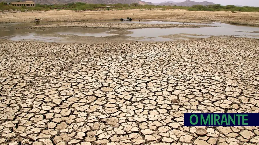 Tribunal de Contas quer mais acção contra a desertificação Tribunal de Contas quer mais acção contra a desertificação