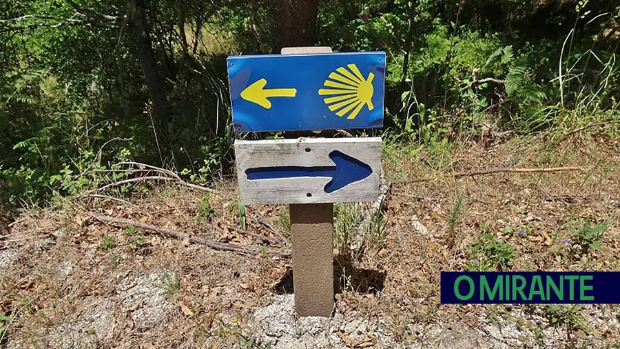 Novos roteiros dos Caminhos de Fátima reforçam segurança Novos roteiros dos Caminhos de Fátima reforçam segurança