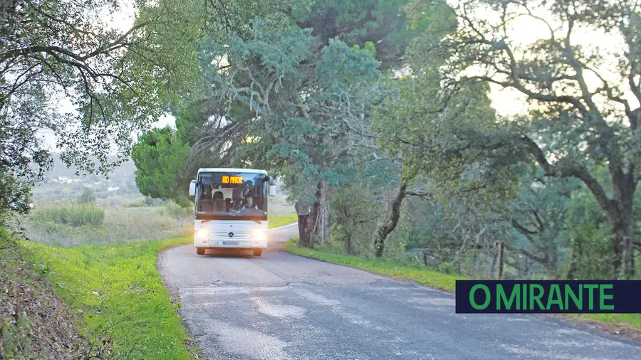 Árvores são risco acrescido na Estrada Nacional 365 perto das Fontainhas Árvores são risco acrescido na Estrada Nacional 365 perto das Fontainhas
