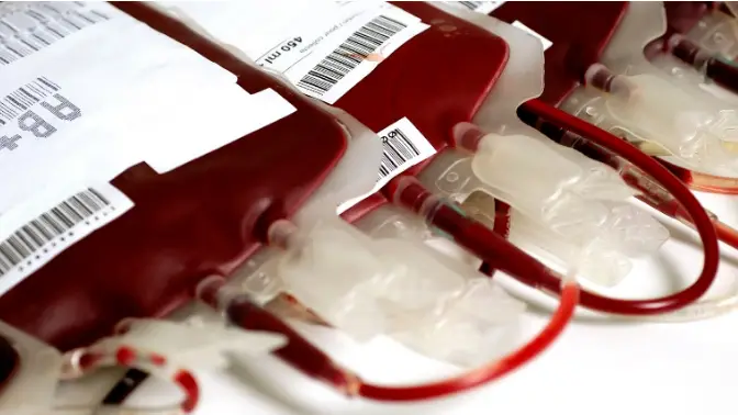 Surto de Covid-19 faz baixar dádivas de sangue no Hospital Vila Franca de Xira Surto de Covid-19 faz baixar dádivas de sangue no Hospital Vila Franca de Xira