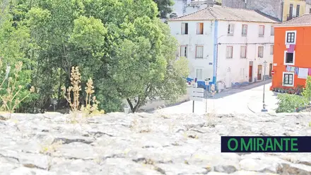 Câmara declara guerra às ocupações ilegais em Santarém Câmara declara guerra às ocupações ilegais em Santarém