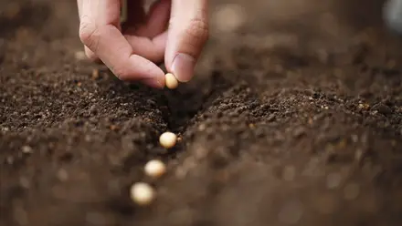 Moneris apoia candidaturas para investimentos em agricultura biológica Moneris apoia candidaturas para investimentos em agricultura biológica